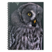 Große Grauschale Notizblock (Vorderseite)