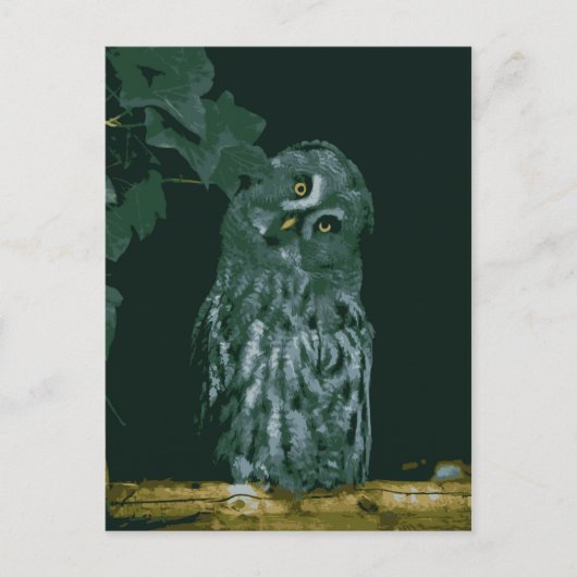 Große Grauschale Postkarte (Vorderseite)