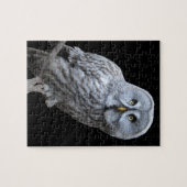 Große Grauschale Puzzle (Horizontal)