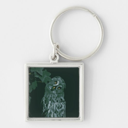 Große Grauschale Schlüsselanhänger (Vorne)