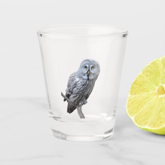 Große Grauschale Schnapsglas (Vorderseite)