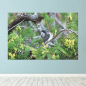 Große Grauvogel-Leinwand Leinwanddruck (Insitu (Holzboden))