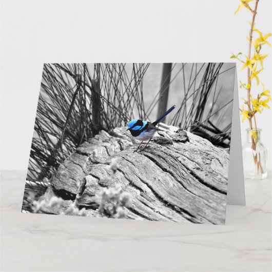 Große großartige feenhafte Zaunkönig-Gruß-Karte Karte (Gelbe Blume)