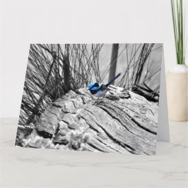 Große großartige feenhafte Zaunkönig-Gruß-Karte Karte