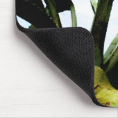 Große grüne Aloe-Pflanze mit Bright Blue Sky Mousepad (Ecke)