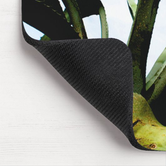 Große grüne Aloe-Pflanze mit Bright Blue Sky Mousepad (Ecke)