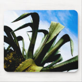 Große grüne Aloe-Pflanze mit Bright Blue Sky Mousepad (Vorne)