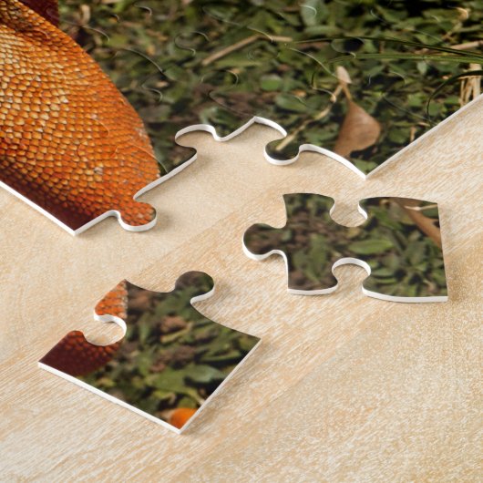 Große grüne Iguana-Eidechse im Gras Puzzle (Seite)