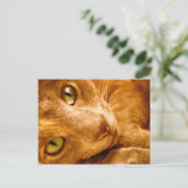 Große Grüntöne Postkarte (Stehend Vorderseite)