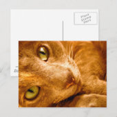 Große Grüntöne Postkarte (Vorne/Hinten)