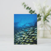 Große Gruppe Bigeye Snapper Fische schwimmen Postkarte (Stehend Vorderseite)