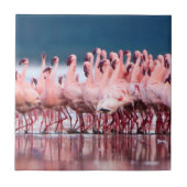 Große Gruppe kleiner Flamingos Fliese (Vorderseite)