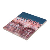 Große Gruppe kleiner Flamingos Fliese (Seite)