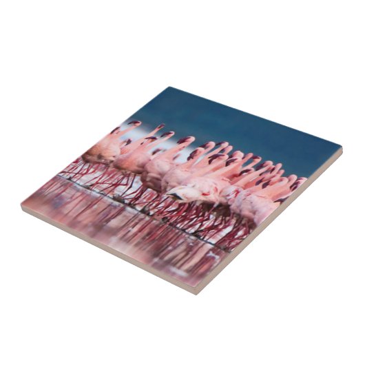 Große Gruppe kleiner Flamingos Fliese (Seite)