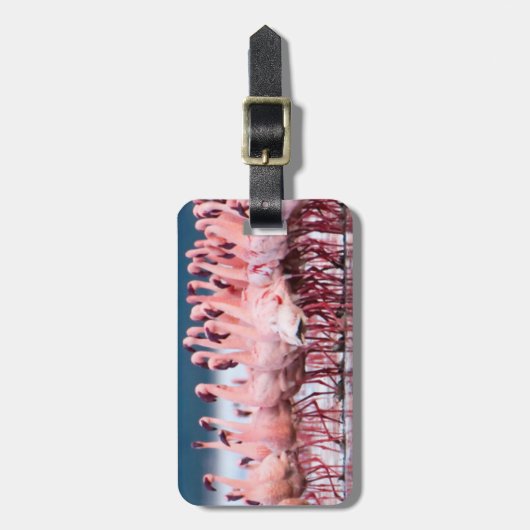 Große Gruppe kleiner Flamingos Gepäckanhänger (Vorderseite vertikal)