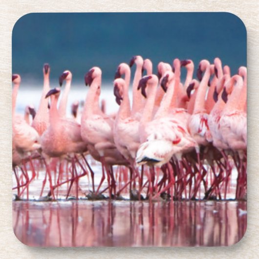 Große Gruppe kleiner Flamingos Getränkeuntersetzer (Vorderseite)