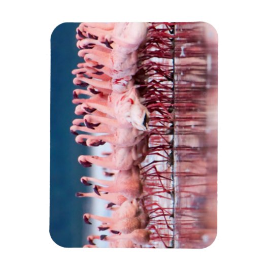 Große Gruppe kleiner Flamingos Magnet (Vertikal)