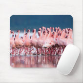 Große Gruppe kleiner Flamingos Mousepad (Mit Mouse)