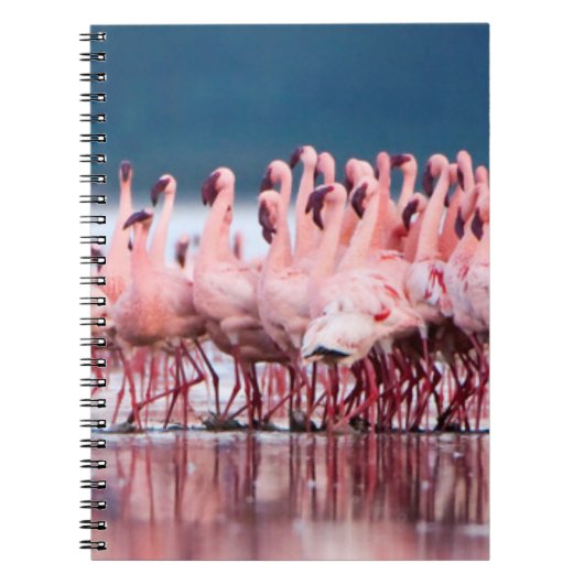 Große Gruppe kleiner Flamingos Notizblock (Vorderseite)