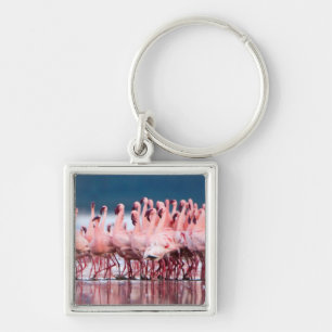 Große Gruppe kleiner Flamingos Schlüsselanhänger