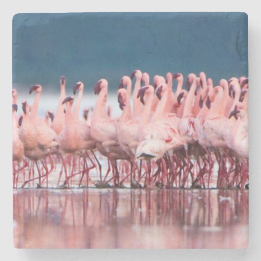 Große Gruppe kleiner Flamingos Steinuntersetzer (Vorderseite)