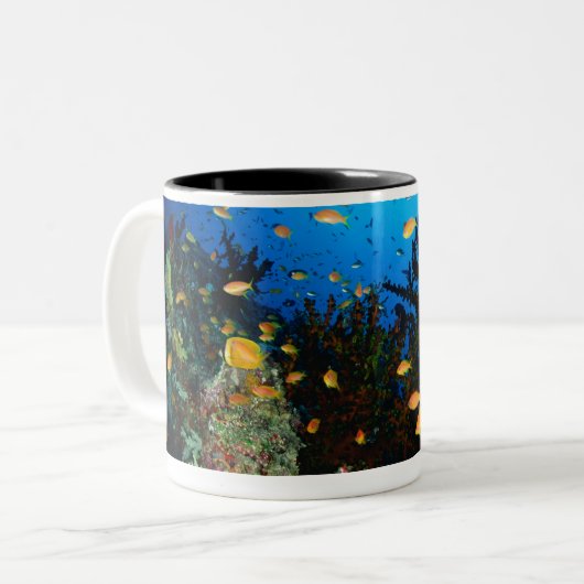Große Gruppe MeerGoldie Fischschwimmen Zweifarbige Tasse (Vorderseite Links)