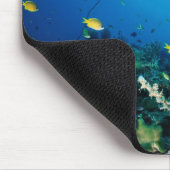Große Gruppe Orange Fische schwimmen Mousepad (Ecke)