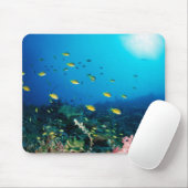 Große Gruppe Orange Fische schwimmen Mousepad (Mit Mouse)