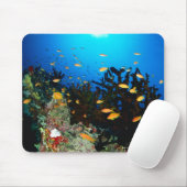 Große Gruppe von Goldfischfischen im Meer Mousepad (Mit Mouse)