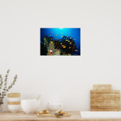 Große Gruppe von Goldfischfischen im Meer Poster (Küche)