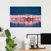 Große Gruppe von Zwergflamingos Poster (Heimbüro)