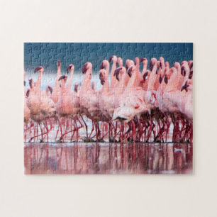 Große Gruppe von Zwergflamingos Puzzle
