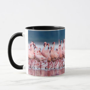 Große Gruppe Zwergflamingos Tasse