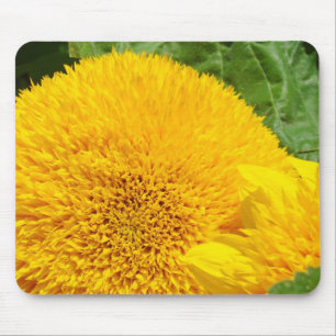 Große helle gelbe Sommer-Sonnenblumen-Mauspads Mousepad