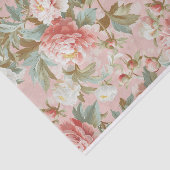 Große, hellrosa Zinnspitzen im Hintergrund Seidenpapier (Ausschnitt)