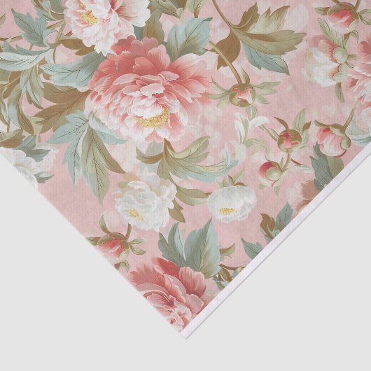 Große, hellrosa Zinnspitzen im Hintergrund Seidenpapier (Ausschnitt)