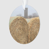 Große Heuschnupfen auf dem landwirtschaftlichen Fe Ornament (Vorderseite)