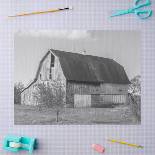 Große Holzstämme in Schwarz und Weiß Seidenpapier (Basteln)