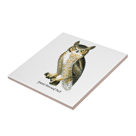 Große Horn-Eule Fliese (Seite)