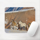Große Hornberge, Pferde laufen Mousepad (Mit Mouse)