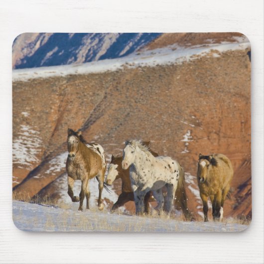 Große Hornberge, Pferde laufen Mousepad (Vorne)