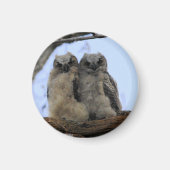 Große Horned Owl Chicks - Magnet (Vorne)