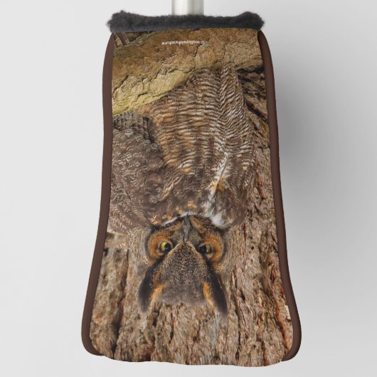 Große Horned Owl im Douglas Fir Golf Headcover (Rotieren 90)