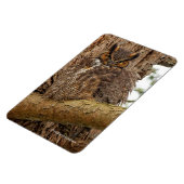 Große Horned Owl im Douglas Fir Magnet (Linke Seite)