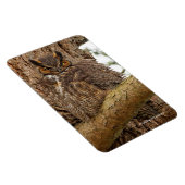Große Horned Owl im Douglas Fir Magnet (Rechte Seite)