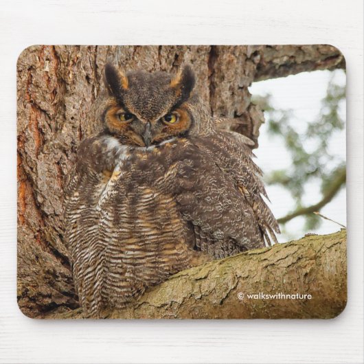 Große Horned Owl im Douglas Fir Mousepad (Vorne)