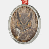 Große Horned Owl im Douglas Fir Ornament Aus Metall (Links)