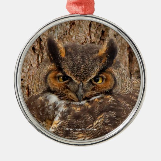 Große Horned Owl im Douglas Fir Ornament Aus Metall (Vorne)