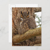 Große Horned Owl im Douglas Fir Postkarte (Vorne/Hinten)