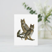 Große Horned Owl John Audubon Birds of America Postkarte (Stehend Vorderseite)